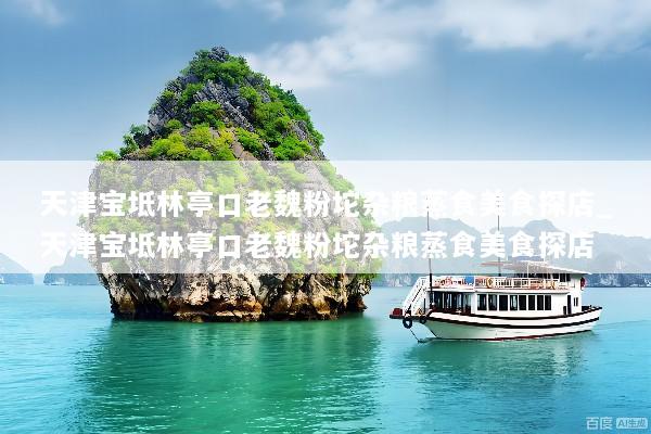 天津宝坻林亭口老魏粉坨杂粮蒸食美食探店_天津宝坻林亭口老魏粉坨杂粮蒸食美食探店