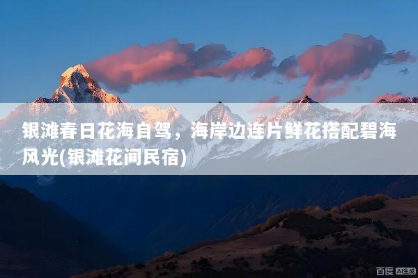 银滩春日花海自驾，海岸边连片鲜花搭配碧海风光(银滩花间民宿)