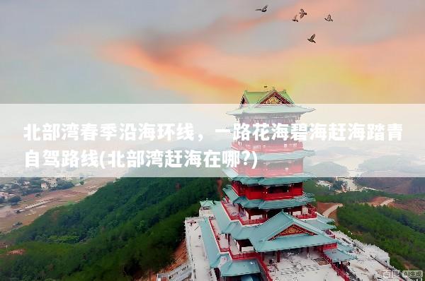 北部湾春季沿海环线，一路花海碧海赶海踏青自驾路线(北部湾赶海在哪?)