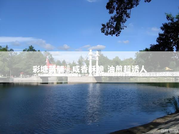 彩塘菜脯粿咸香酥脆 油煎超诱人