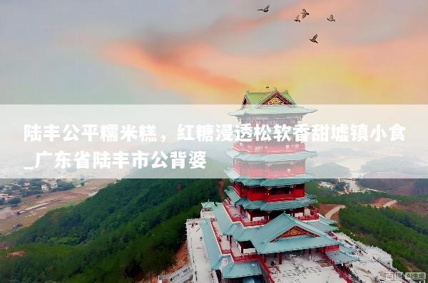 陆丰公平糯米糕，红糖浸透松软香甜墟镇小食_广东省陆丰市公背婆