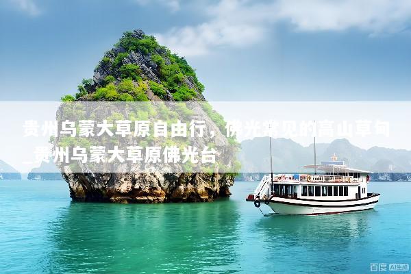 贵州乌蒙大草原自由行，佛光常见的高山草甸_贵州乌蒙大草原佛光台