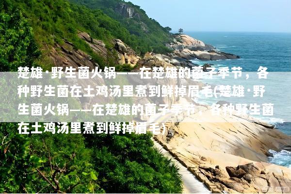 楚雄·野生菌火锅——在楚雄的菌子季节，各种野生菌在土鸡汤里煮到鲜掉眉毛(楚雄·野生菌火锅——在楚雄的菌子季节，各种野生菌在土鸡汤里煮到鲜掉眉毛)