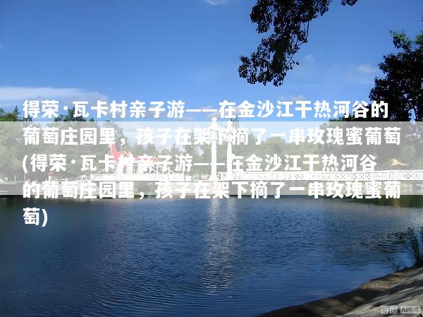 得荣·瓦卡村亲子游——在金沙江干热河谷的葡萄庄园里，孩子在架下摘了一串玫瑰蜜葡萄(得荣·瓦卡村亲子游——在金沙江干热河谷的葡萄庄园里，孩子在架下摘了一串玫瑰蜜葡萄)