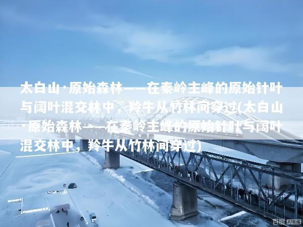 太白山·原始森林——在秦岭主峰的原始针叶与阔叶混交林中，羚牛从竹林间穿过(太白山·原始森林——在秦岭主峰的原始针叶与阔叶混交林中，羚牛从竹林间穿过)