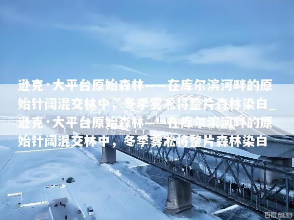 逊克·大平台原始森林——在库尔滨河畔的原始针阔混交林中，冬季雾凇将整片森林染白_逊克·大平台原始森林——在库尔滨河畔的原始针阔混交林中，冬季雾凇将整片森林染白
