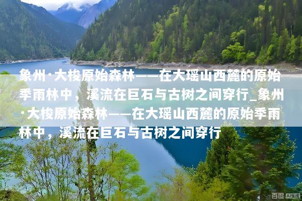 象州·大梭原始森林——在大瑶山西麓的原始季雨林中，溪流在巨石与古树之间穿行_象州·大梭原始森林——在大瑶山西麓的原始季雨林中，溪流在巨石与古树之间穿行