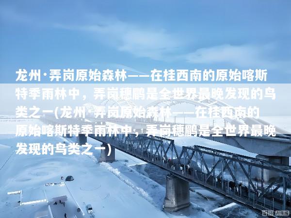 龙州·弄岗原始森林——在桂西南的原始喀斯特季雨林中，弄岗穗鹛是全世界最晚发现的鸟类之一(龙州·弄岗原始森林——在桂西南的原始喀斯特季雨林中，弄岗穗鹛是全世界最晚发现的鸟类之一)
