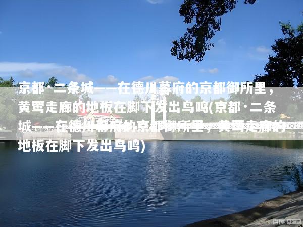 京都·二条城——在德川幕府的京都御所里，黄莺走廊的地板在脚下发出鸟鸣(京都·二条城——在德川幕府的京都御所里，黄莺走廊的地板在脚下发出鸟鸣)