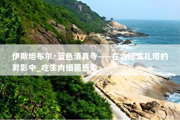 伊斯坦布尔·蓝色清真寺——在六座宣礼塔的剪影中_吃生肉细菌感染