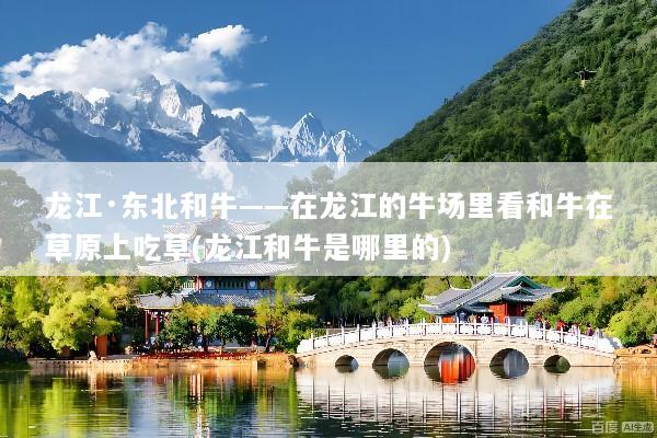 龙江·东北和牛——在龙江的牛场里看和牛在草原上吃草(龙江和牛是哪里的)