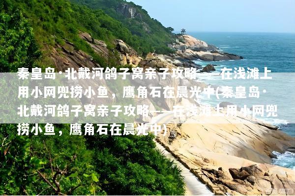 秦皇岛·北戴河鸽子窝亲子攻略——在浅滩上用小网兜捞小鱼，鹰角石在晨光中(秦皇岛·北戴河鸽子窝亲子攻略——在浅滩上用小网兜捞小鱼，鹰角石在晨光中)