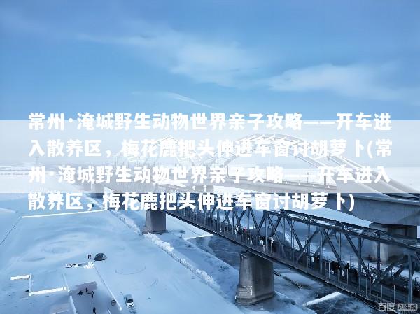 常州·淹城野生动物世界亲子攻略——开车进入散养区，梅花鹿把头伸进车窗讨胡萝卜(常州·淹城野生动物世界亲子攻略——开车进入散养区，梅花鹿把头伸进车窗讨胡萝卜)