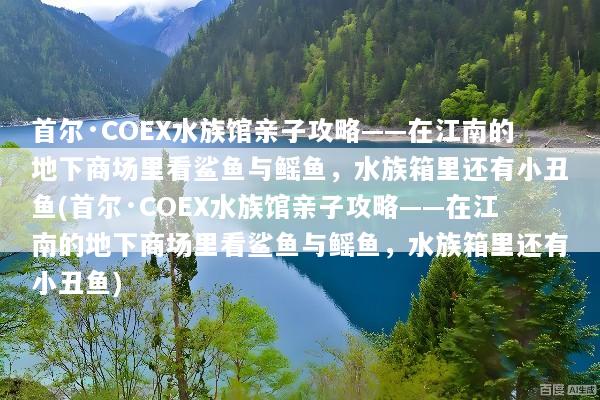 首尔·COEX水族馆亲子攻略——在江南的地下商场里看鲨鱼与鳐鱼，水族箱里还有小丑鱼(首尔·COEX水族馆亲子攻略——在江南的地下商场里看鲨鱼与鳐鱼，水族箱里还有小丑鱼)