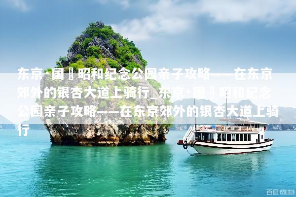 东京·国営昭和纪念公园亲子攻略——在东京郊外的银杏大道上骑行_东京·国営昭和纪念公园亲子攻略——在东京郊外的银杏大道上骑行